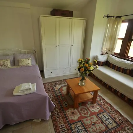 Holiday home Limonlu Konak